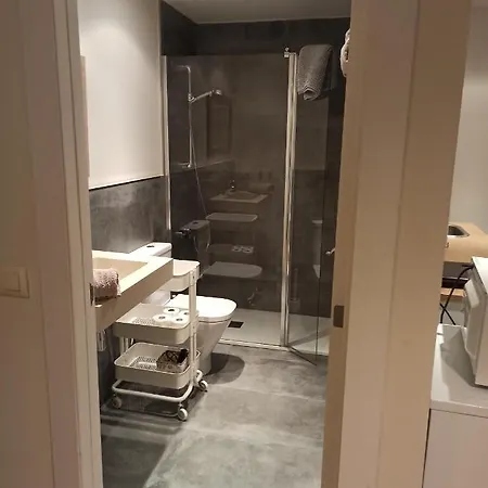Apartamento Independiente Con Jardin Privado 奥维耶多